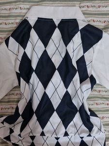 Stylish Argyle Patterned Top