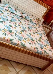 Elastic Fitted Double Bed Bedsheet with 2 Pillow C