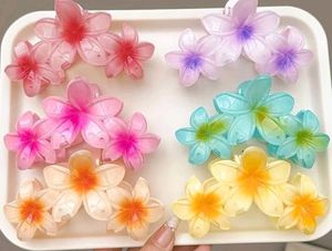 Flowers Clutches 2 Pcs 60 Rs Big Size
