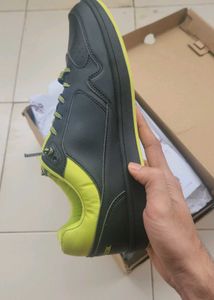 US Polo Assn. Casual Shoes
