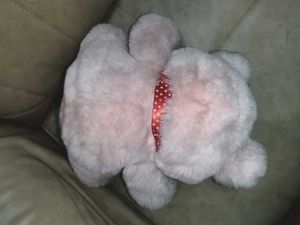 Teddy Bear Medium Size