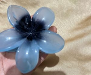 Beautiful Hair Clip