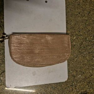 Styling Women Clutch