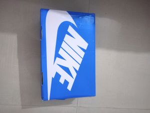 Nike Dunks| Grey Fog | Unworned