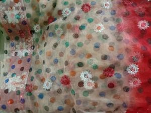 Beautiful Multicolour Net Saree