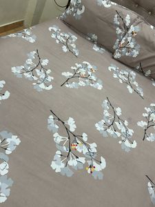 Todays Offer Glace Cotton Double Bedsheet