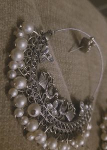 Peacock Earrings (Hoops)