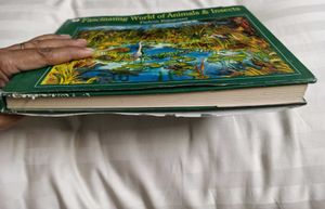 Fascinating World of Animals &amp; Insects