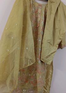 Beautiful Organza Pakistani Suit👗