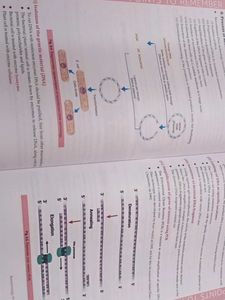 Xam idea Biology 12