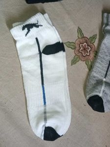 Whippet Sport Ankle Socks
