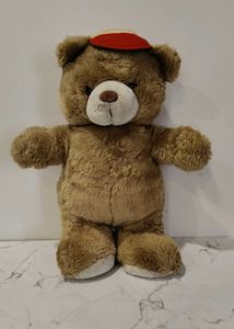 Teddy Bear