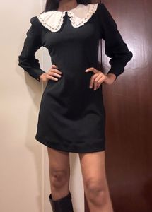 Black  Dress Embellished White Peter Pan Collor
