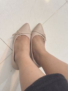 Elegant Nude Pointed Toe Flats