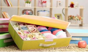 Fabric Multicompartment Foldable Storage Bag