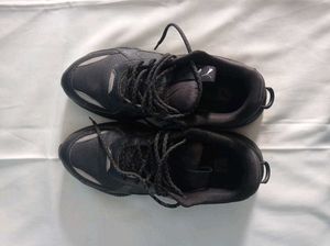 Men Shoes