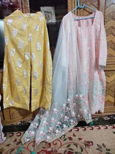 Beautiful Pakistani Suit