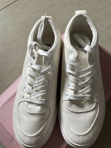 Roadster Canvas Shoes Unisex