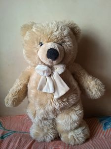 Super Cute Teddy Bear 🧸🧸🧸