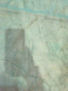 Multicolour glittery and shiny saree.