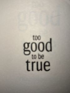 Too Good To Be True