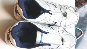 Hitcolus White &amp; Blue Sneakers