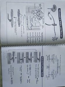 Short Notes,NCERT Smasher 2.0 - Human Physiology