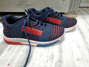 Beautiful Premium Quality Boys Shoes 😻👟