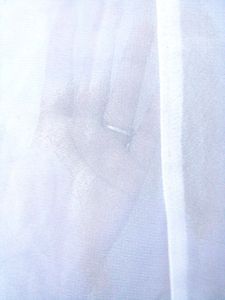 Transparent White Net Sleeves Kurti 🤍