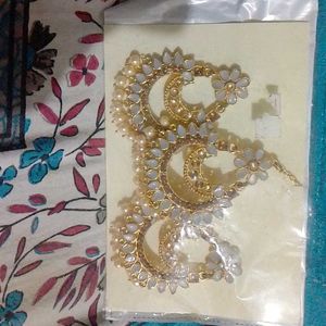 Elegant Earrings