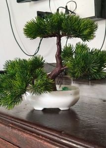 Artificial Plant