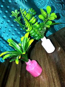 2 Flower Pot ,2inch