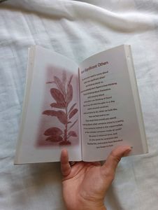 The ever-yum 'Soul Food'