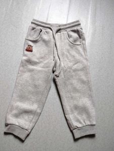 Combo Of Winter Pants