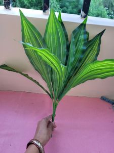 Leaf Bunches