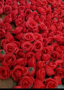 5 Pcs of Big Premium Quality Rose Flower Buds
