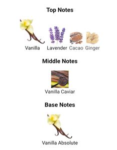 Burberry Goddess Perfume Samples (1.5ml)