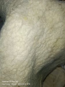 Heating Pad With Cover