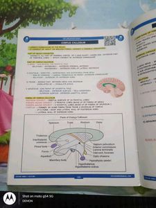 Johari MBBS Anatomy Lectures - Volumes 1 &amp; 2