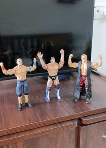 WWE Action Figures (3)