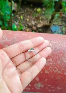 Dragon Eye Turtle Silver Ring