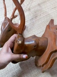 Horse Head Decoration 🐴