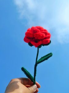 Corchet Flower