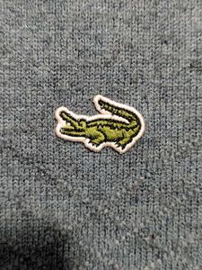 crocodile Green Sweater
