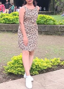 Zebra Print Dress New Ginger By Lifestyle