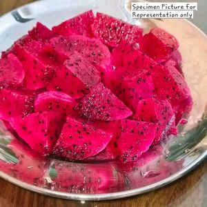 Red Dragon Fruit Plant (Bare Rooted)