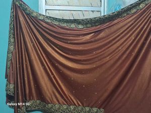 Elegant Embellished Saree