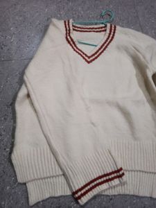 Striped Trim V-Neck Sweater