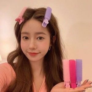 Korean Hair Volumising Clips(set of 2)