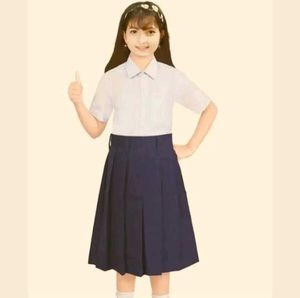 Navy Pleated Skirt